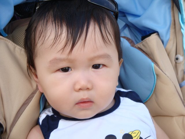 [DSC00740.JPG]