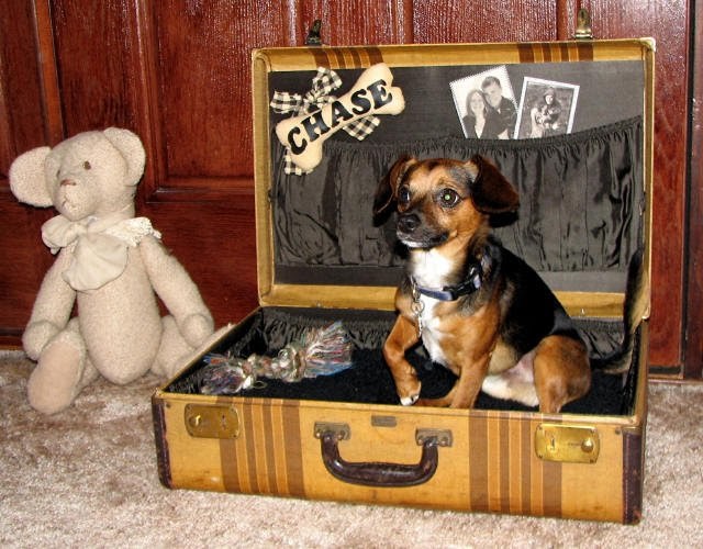 JunkinJane Suitcase Dog Bed