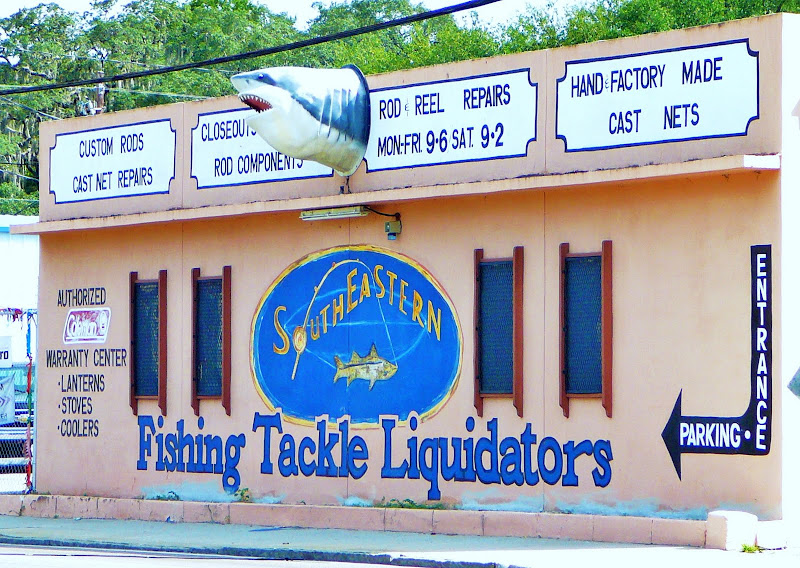 Tampa Florida Photo October 2009