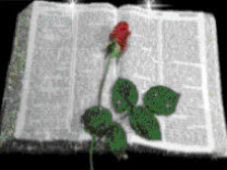 @@ Igreja Pao da Vida @@