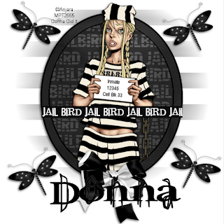 Jailbird+paper