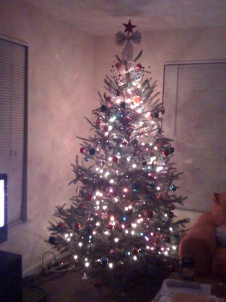 this is my first real christmas tree ever ive always used artificial ones and i love this thing so much i cant even believe it it only cost 32 bucks and - How Much Do Real Christmas Trees Cost this is my first real christmas tree ever ive always used artificial ones and i love this thing so much i cant even believe it it only cost 32 bucks and - How Much Do Real Christmas Trees Cost
