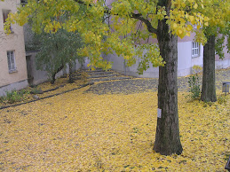 Herbst in Nürnberg