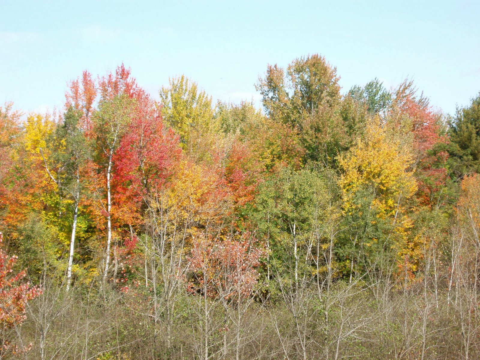 [PA040069.JPG]