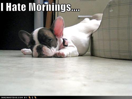[morning.bmp]