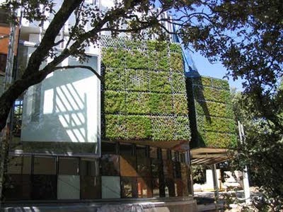 FACHADAS VEGETALES EN EDIFICIOS - FACHADAS VERDES - VERTICAL GARDEN FACHADAS VEGETALES EN EDIFICIOS - FACHADAS VERDES - VERTICAL GARDEN