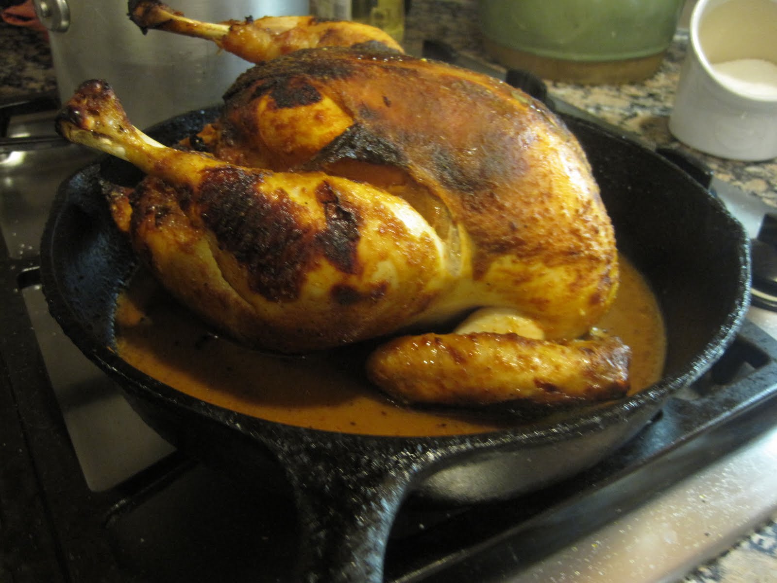 [chicken.jpg]