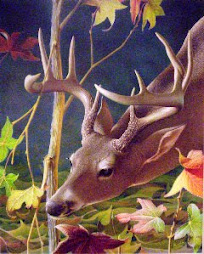 Wildlife Art Exhibition