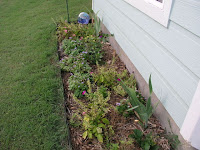 South Flower Bed