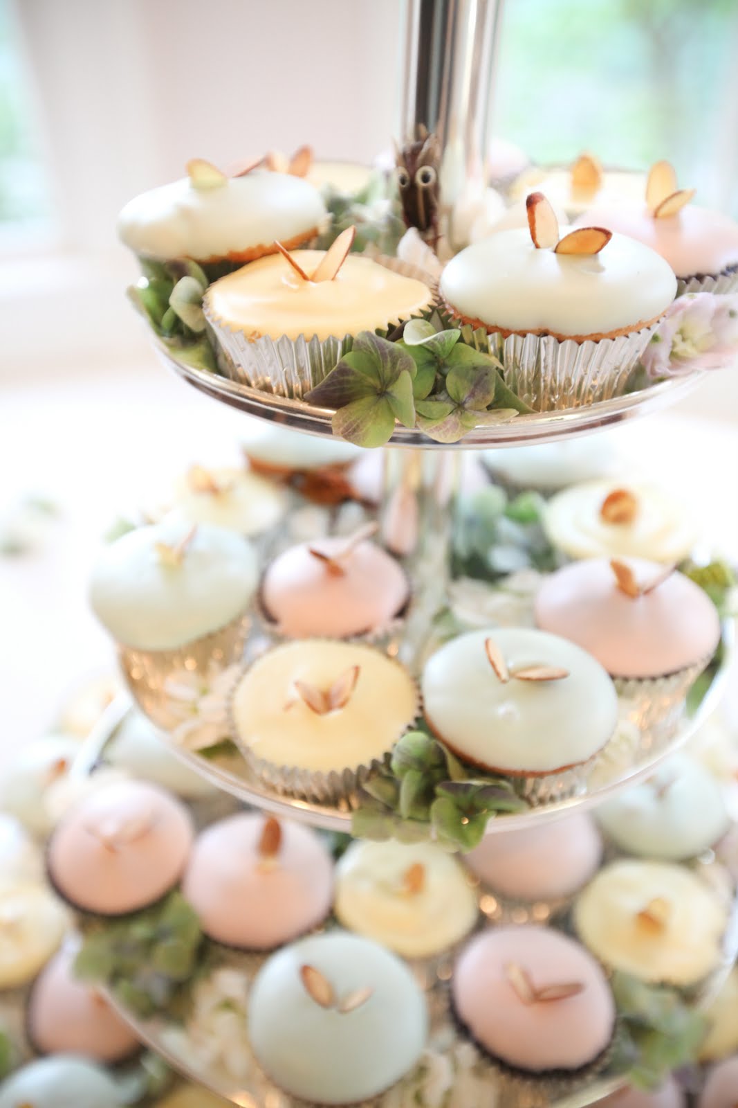 Cupcakes Galore The Allan House