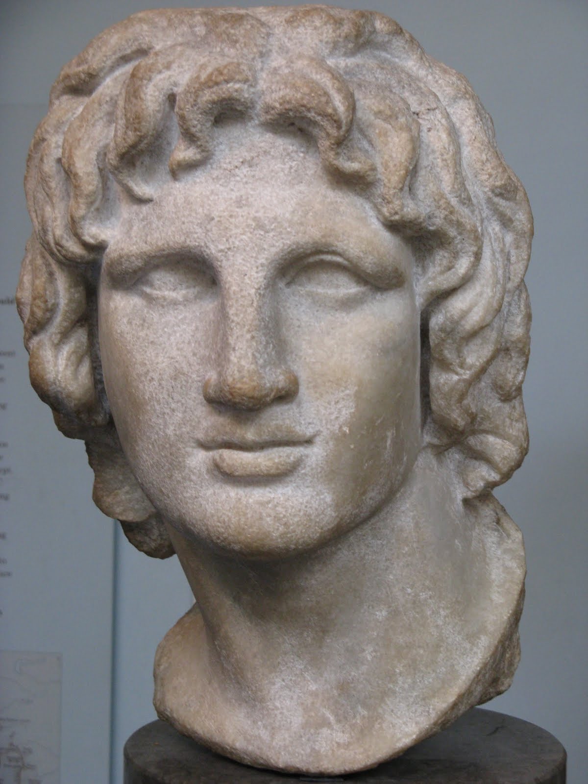 netWORKinProgress: Alexander the Great