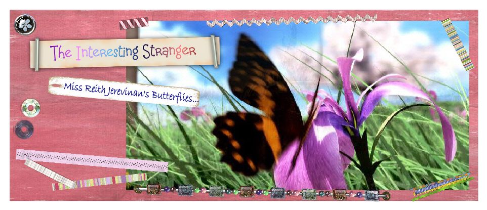 The Interesting Stranger - Miss Reith Jerevinan's Butterflies