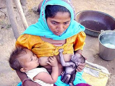 [melhor+foto+do+national+geographic.jpg]