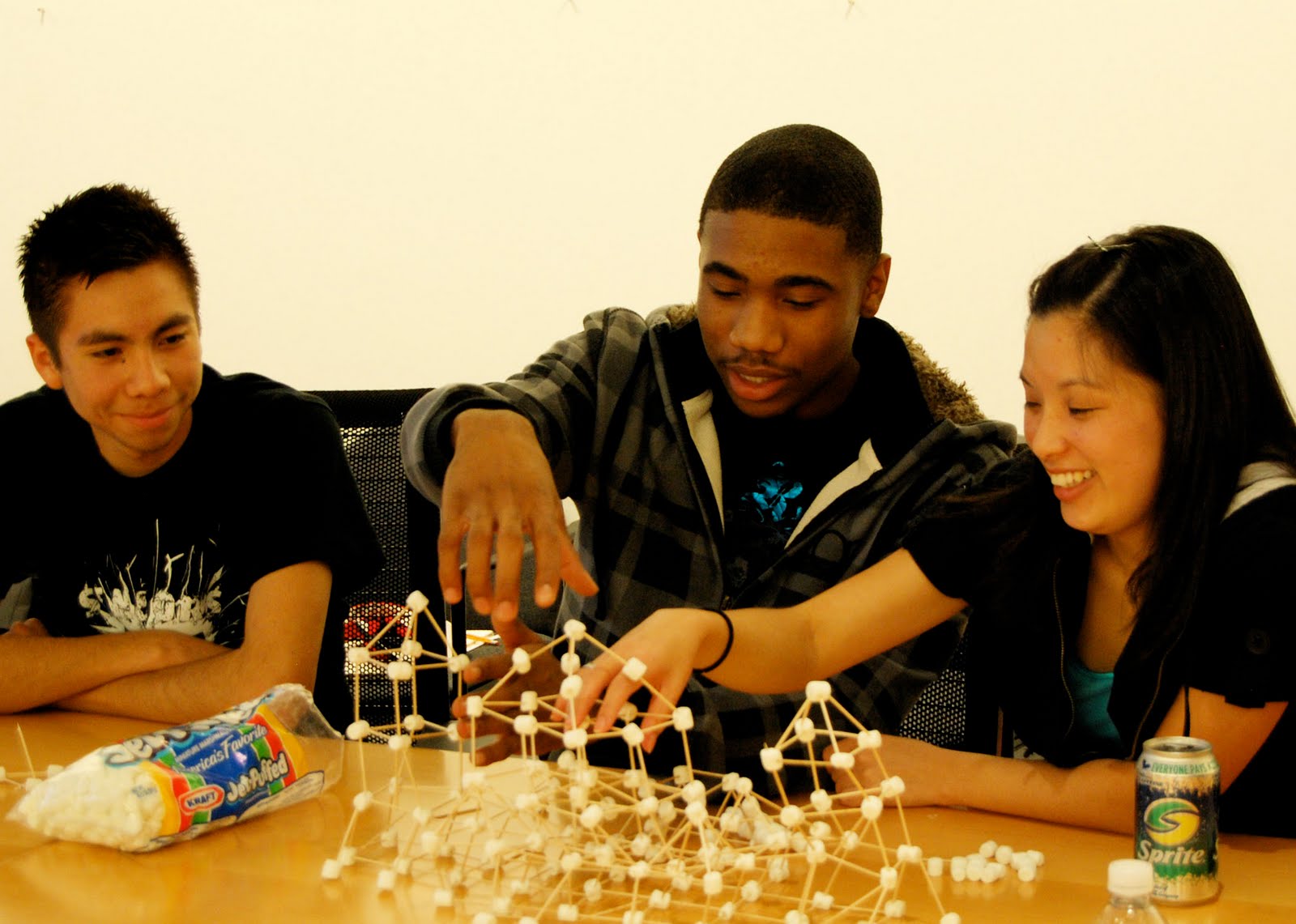 project for it students project for it students