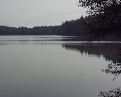 Dark Lake Water