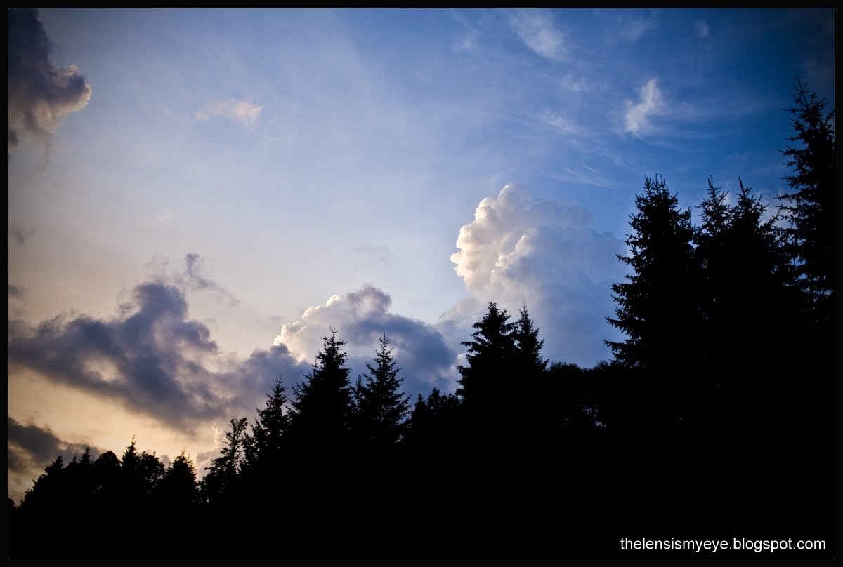 [IMG_2286.jpg]