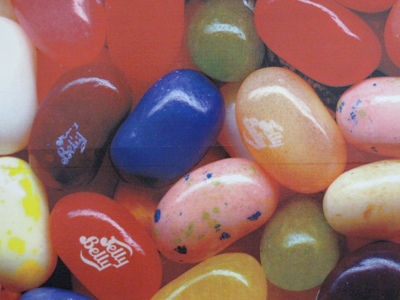 What's up with the Drum's? Jelly Belly Factory Fairfield, CA