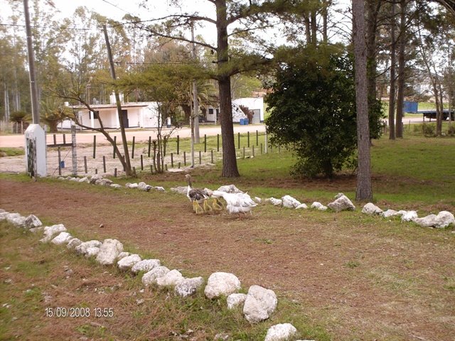 [110+Paraje+pamer+2.JPG]