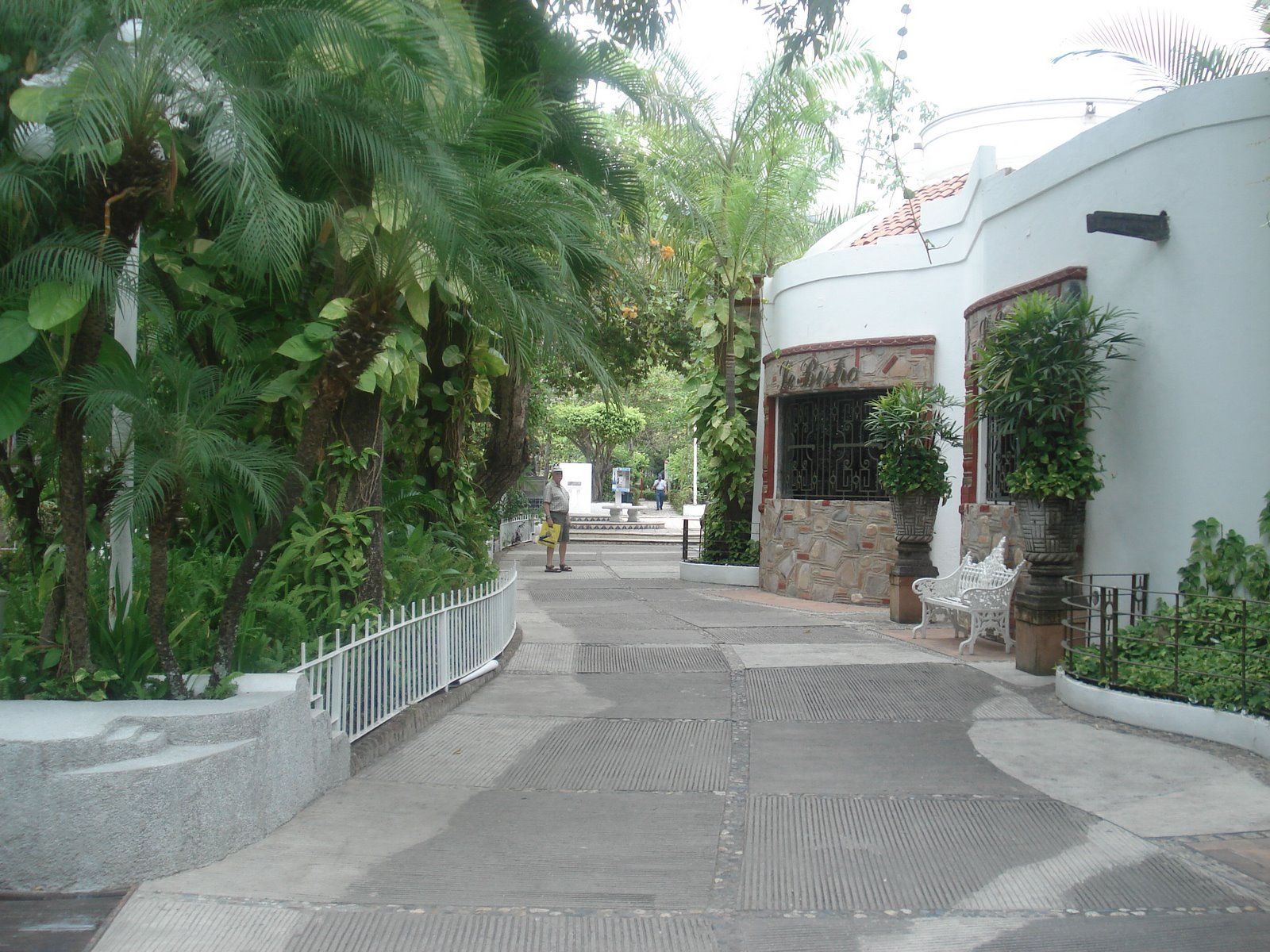 [DSC05365.JPG]