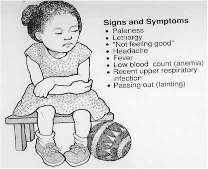 Destruction Of Hemoglobin