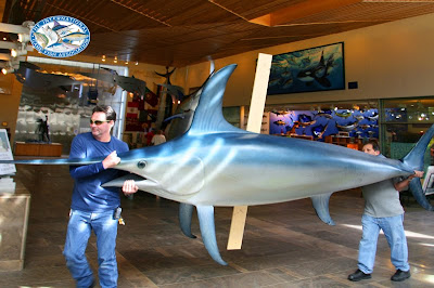 welcome to king sailfish