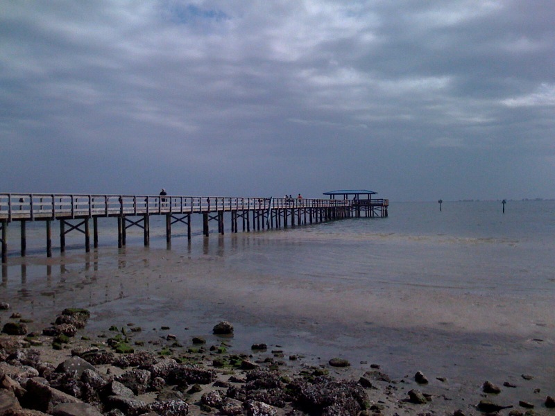 The pier at low tide Safety Harbor Daily Photo