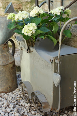 Antique doll’s pram, holding a hydrangea