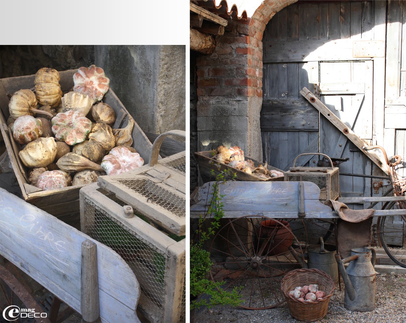 Parmis de vraies coloquintes, certaines sont en terre cuite