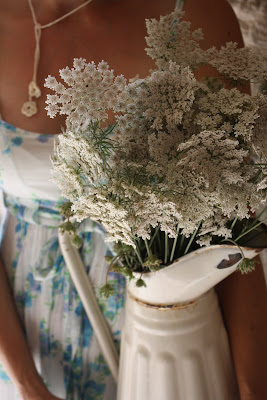 Bouquet de fleurs de carotte dans une cruche émaillée