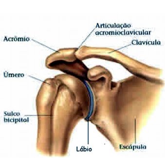 http://4.bp.blogspot.com/_KdZDOmC9h6c/S9bw_KwnnQI/AAAAAAAAABk/fBiA9fyOY28/s1600/imagem1.bmp