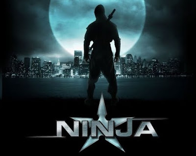 Ninja in Action movie