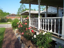 Sit in the swing and enjoy the sweet smell of old fashion roses.