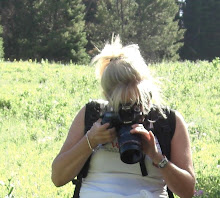 My Photo