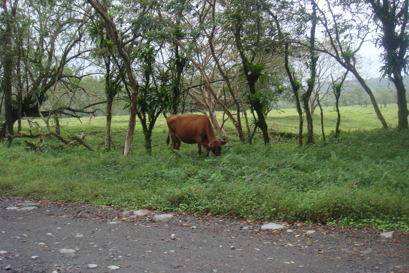 [DSC04463.JPG]