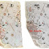 THE PIRI REIS MAP OF 1513