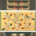 CEILING PATTERNS (Memphis &> Thebes- 18th to 30th Dynasties)