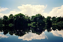 Reflexos no Rio Negro