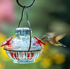 Pot de Creme hummingbird feeder