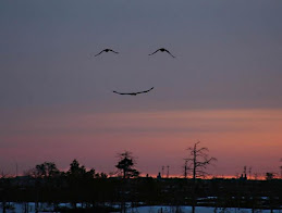 O sorriso que vem do céu.