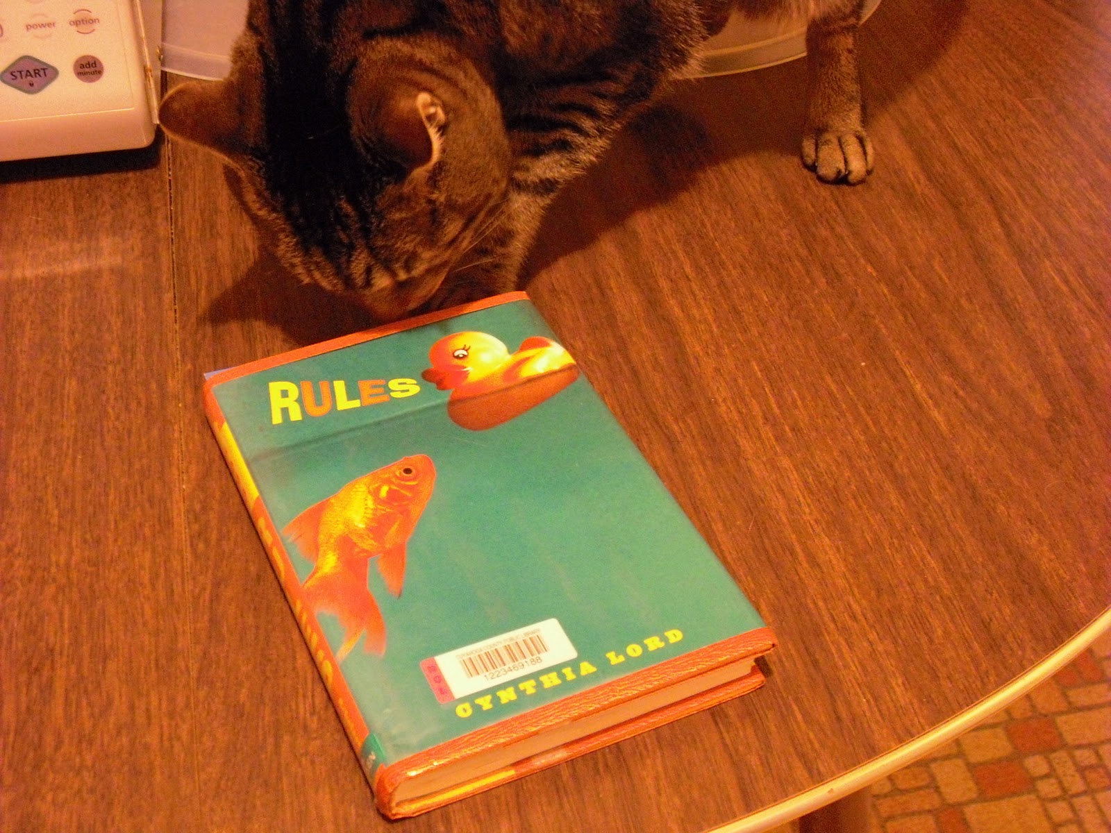 rules by cynthia lord pages rules by cynthia lord pages