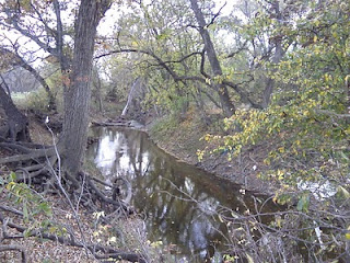 Creek meandering in the park