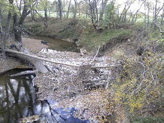 Illegal Trash Dumping in Bob Woodruff park