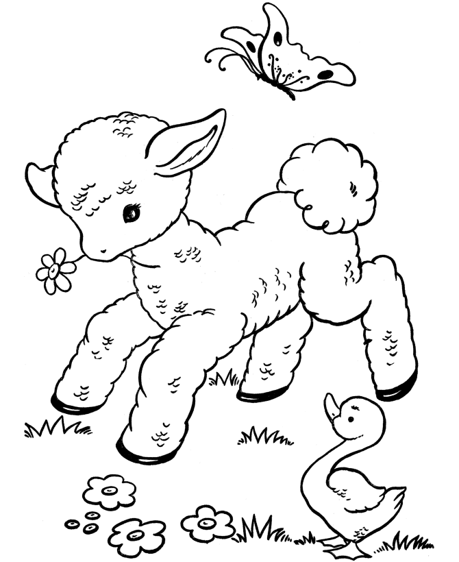 EASTER COLOURING: SPRING LAMB AND DUCKIES EASTER COLOURING