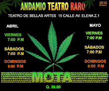 Andamio Teatro Raro