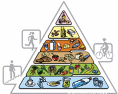 [swiss_food_pyramid.jpg]