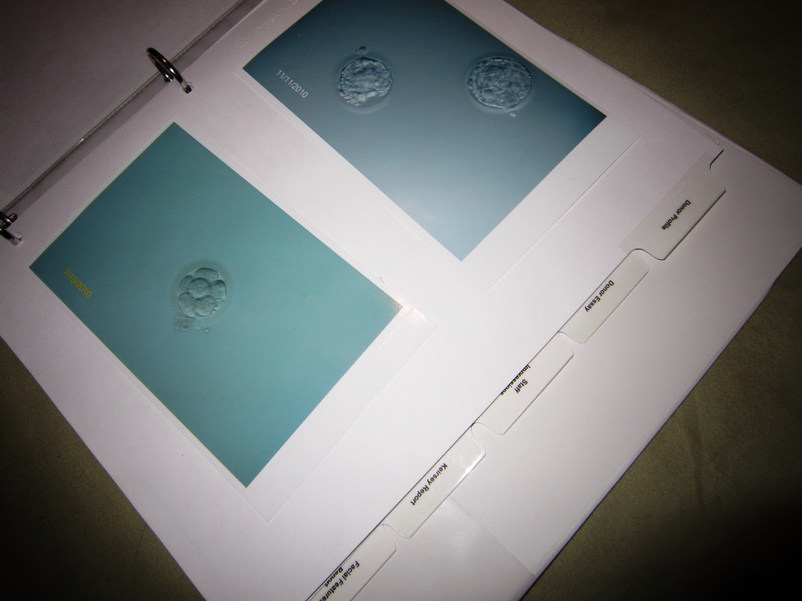 Sperm+Book+006.JPG