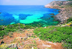 Isola dell' Asinara