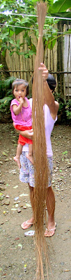 Agsam Fibres Lanuza Mindanao Philippines