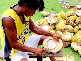 Lugit man shelling coconuts Siargao Island, NE Mindanao, Philippines