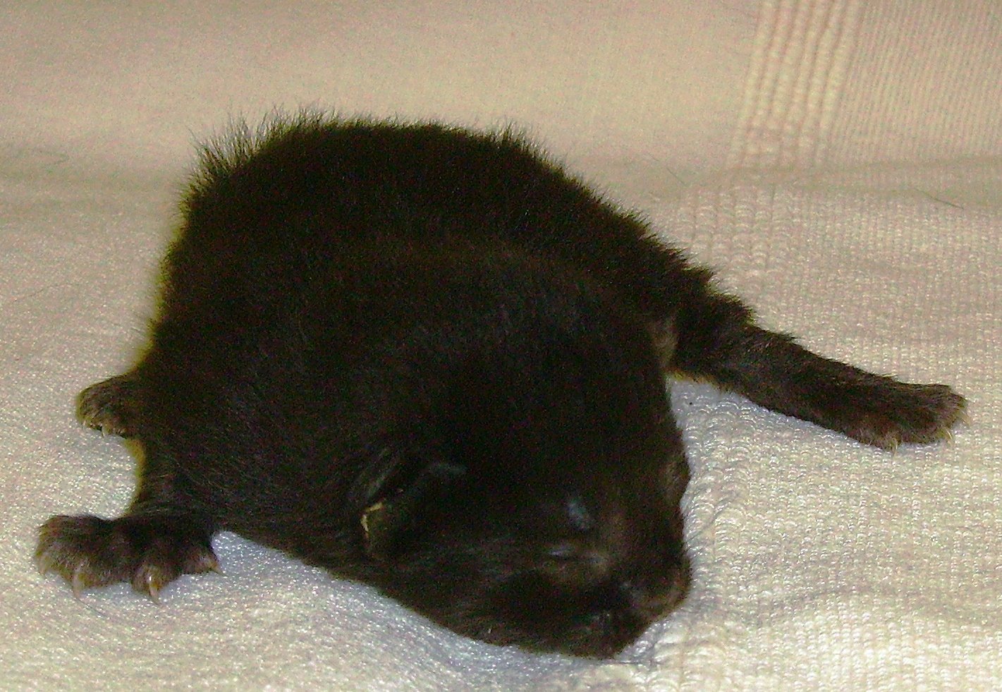 [IMGP0840.JPG]